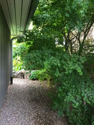 60_IMG_0082.jpeg