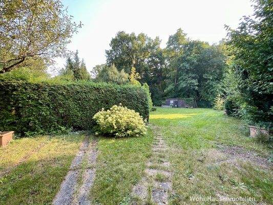 Hecke zwischen Zufahrt und Grundstück