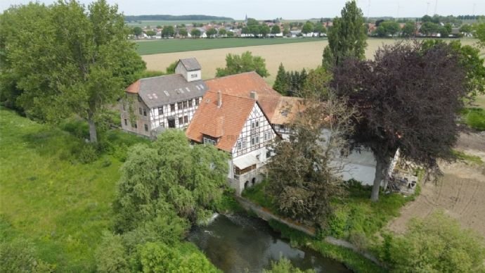 Herrenhaus im Grünen. Pferdeliebhaber aufgepasst!