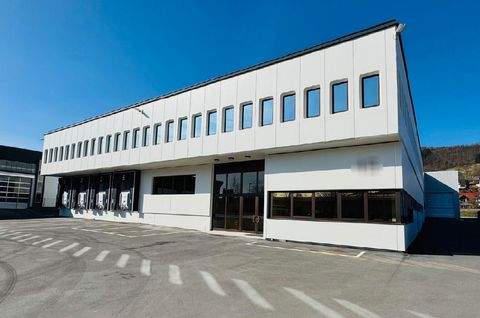 Rudersberg Halle, Rudersberg Hallenfläche