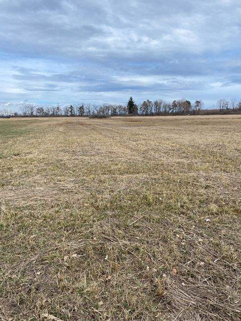 Übersee Bauernhöfe, Landwirtschaft, Übersee Forstwirtschaft