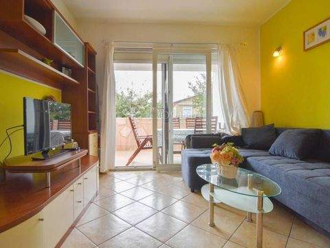 Novigrad Wohnungen, Novigrad Wohnung mieten