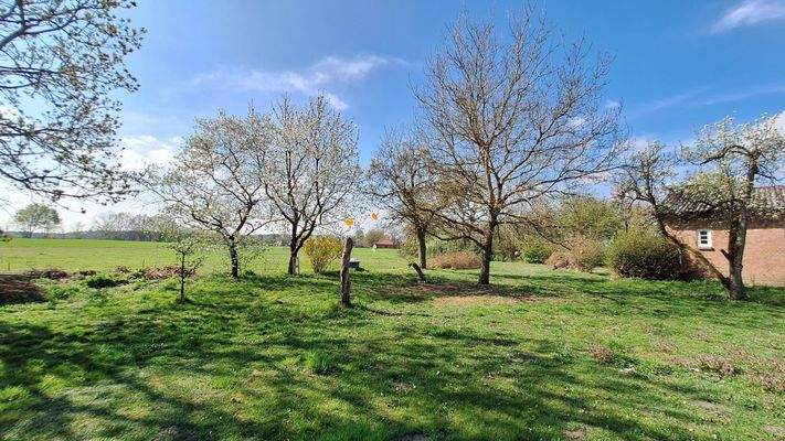 Blick über das unverbaute Hofgrundstück 