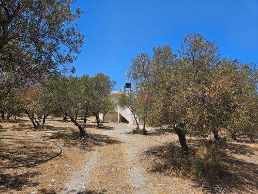 Kreta, Milatos: Anwesen mit vielen Möglichkeiten - nahe am Meer - zu verkaufen