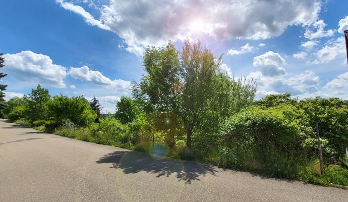 Top-Preis und viel Sonne: Aussichtslage am Südhang von Laudenbach!