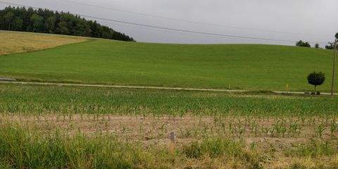Pühret Grundstücke, Pühret Grundstück kaufen