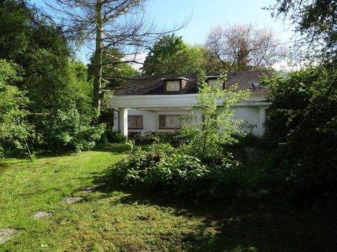 Frankfurt am Main Häuser, Frankfurt am Main Haus kaufen