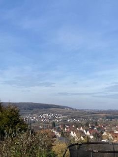 IMG_3894.jpg