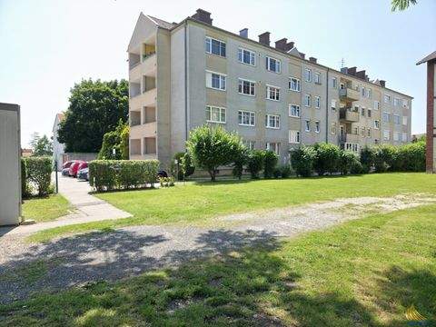Neufeld an der Leitha Wohnungen, Neufeld an der Leitha Wohnung kaufen
