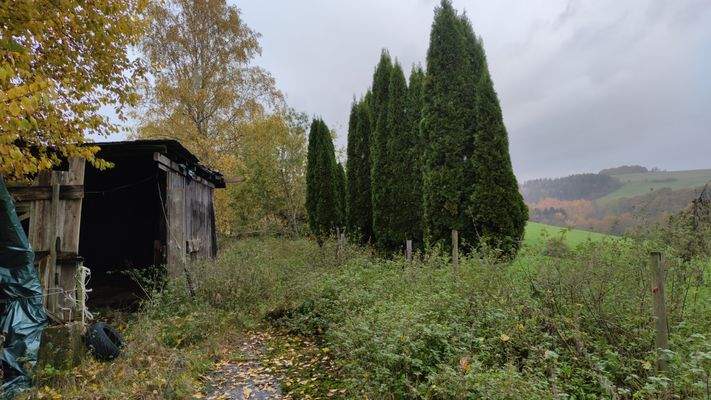 Grundstück Pferde.jpg