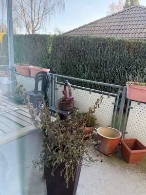 Oelsnitzer Str. 43 EG WE7 Balkon.jpg