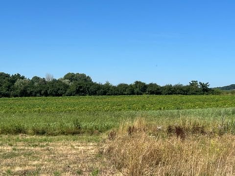 Hirschaid / Erlach Grundstücke, Hirschaid / Erlach Grundstück kaufen