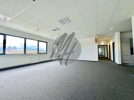 INFOS UNTER: 06171-586000