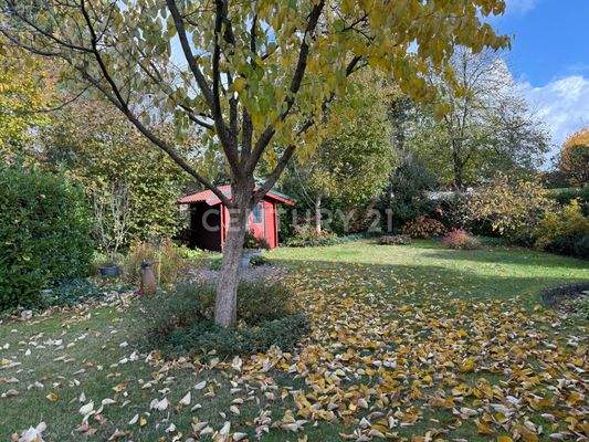 schöner eingewachsener Garten