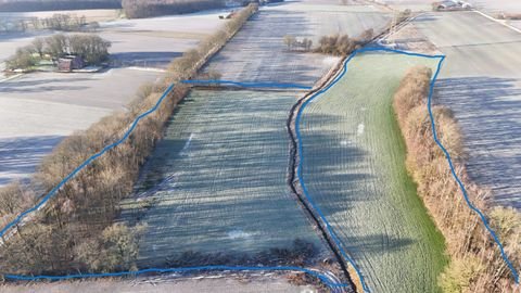 Cloppenburg Bauernhöfe, Landwirtschaft, Cloppenburg Forstwirtschaft