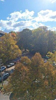 WhatsApp Image 2025-10-18 at 12.41.42 (3).jpeg