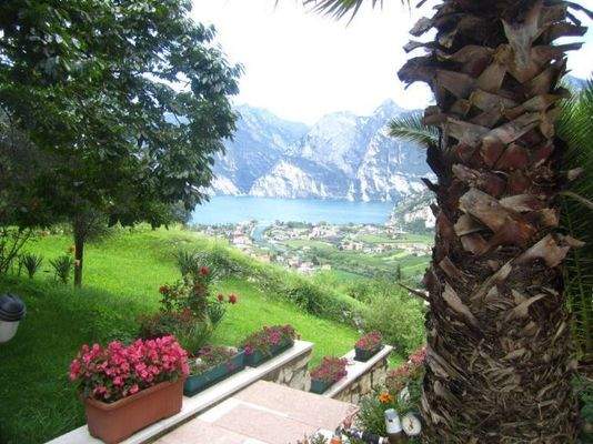 (FILEminimizer) IMG_8490 - Copia