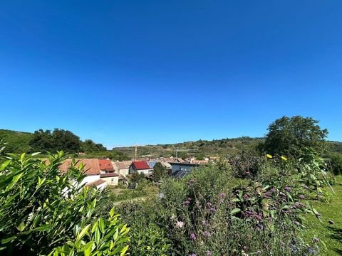 Vogtsburg im Kaiserstuhl Häuser, Vogtsburg im Kaiserstuhl Haus kaufen