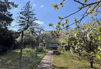 Garten Blick zum Haus