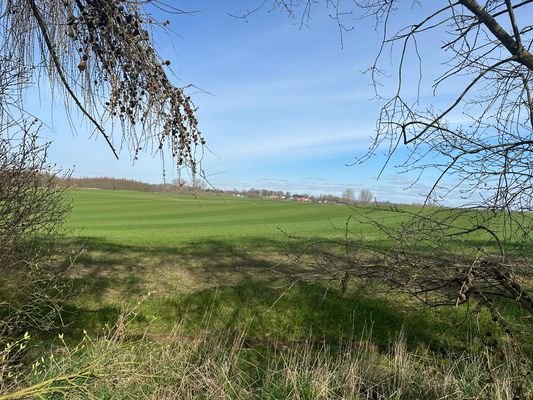 Fernblick