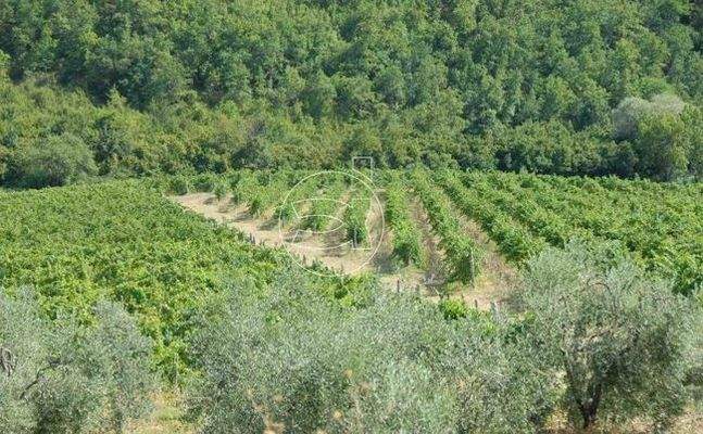 Traumhaftes Anwesen | Gaiole in Chianti