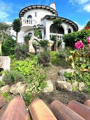 Garten - als medialer Heilgarten angelegt