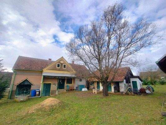 WhatsApp-kép, 2025-11-26, 17.24.11_7cc30532.jpg