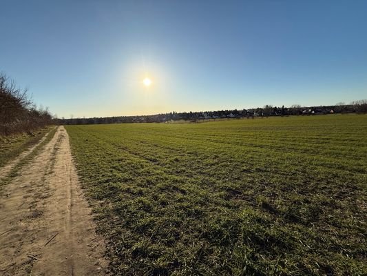 Abendspaziergang am nahe gelegenen Zochegraben