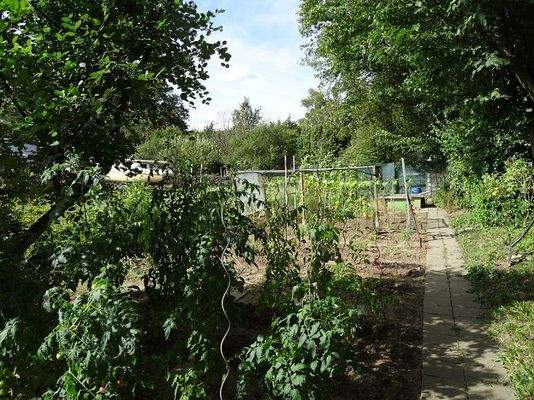 Nutzgarten.JPG