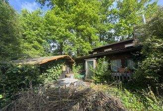 Altbestand mit Gartenhaus