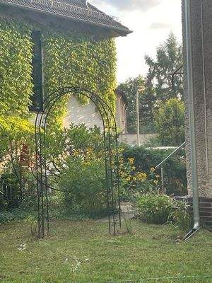 Blick zur Terrasse v. hinten