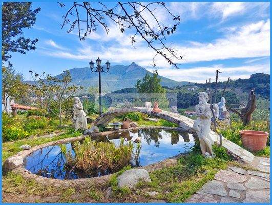 be9149c0fce44335bf2c9c61109776d7-original