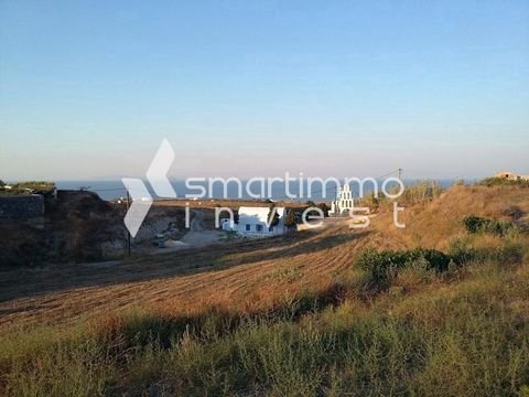 Karterados, Santorini - Thira Bauernhöfe, Landwirtschaft, Karterados, Santorini - Thira Forstwirtschaft