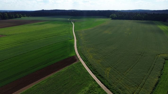 Wald + Wiese vor der Türe