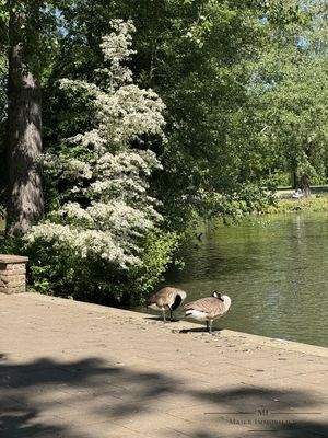 • Kurzer Weg ins Naturschutzgebiet 