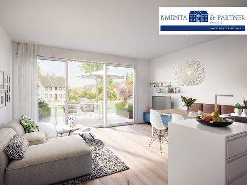 Hohenweiler Häuser, Hohenweiler Haus kaufen