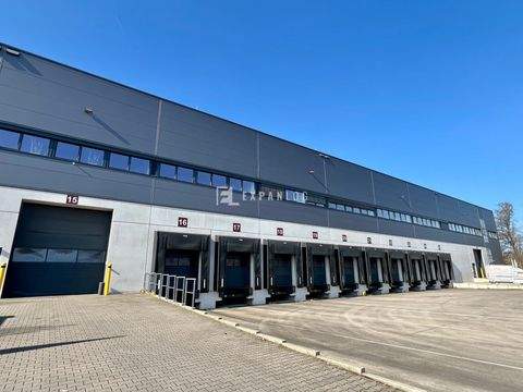 Düsseldorf Halle, Düsseldorf Hallenfläche