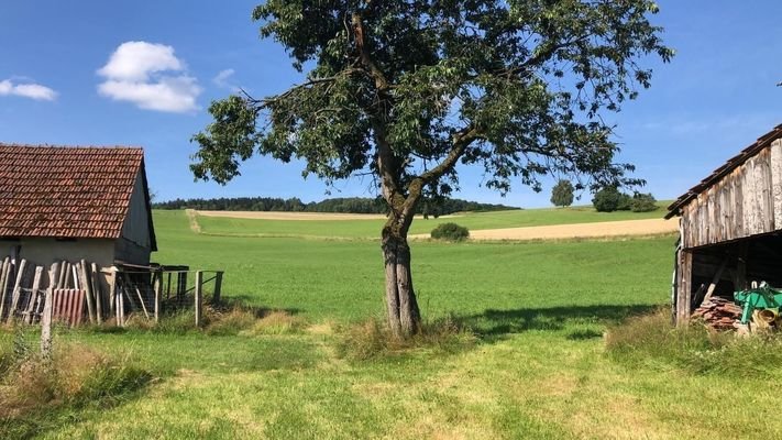 Ausblick 2.jpg
