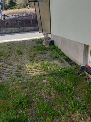 20230503_100930.jpg