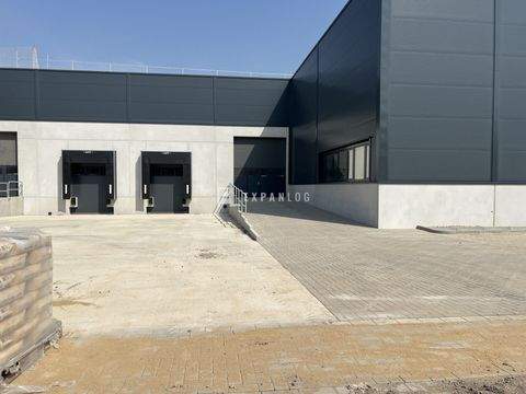 Düsseldorf Halle, Düsseldorf Hallenfläche