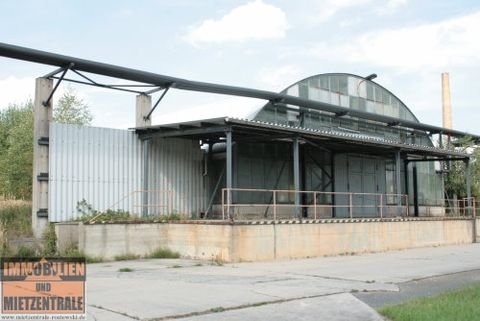 Bernsdorf Halle, Bernsdorf Hallenfläche