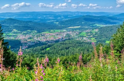 Bodenmais Häuser, Bodenmais Haus kaufen