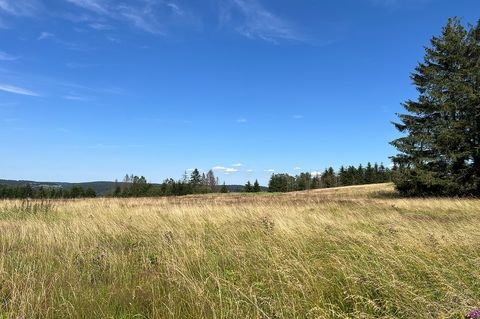 Föritztal Grundstücke, Föritztal Grundstück kaufen