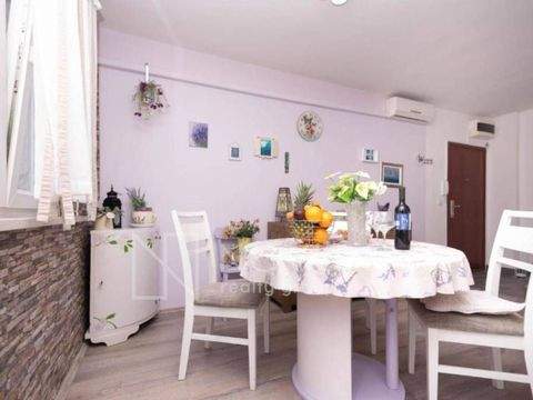 Split Wohnungen, Split Wohnung mieten