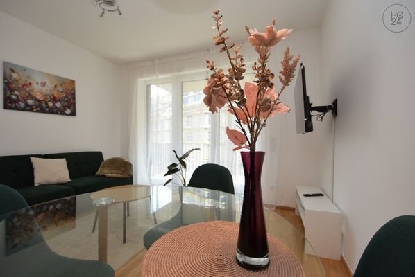 Bild7