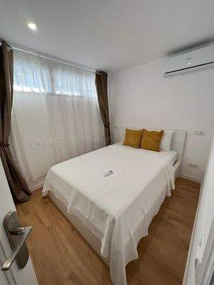 WhatsApp Image 2025-01-14 at 10.52.50