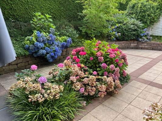 Terrasse mit Blumen und Pflanzen