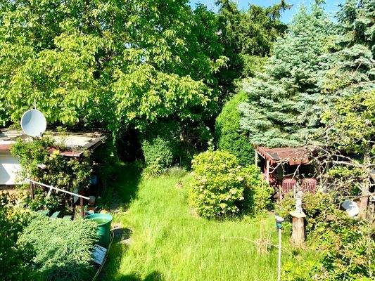 Blick über das Grundstück