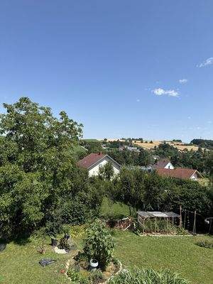 Ausblick ins Grüne