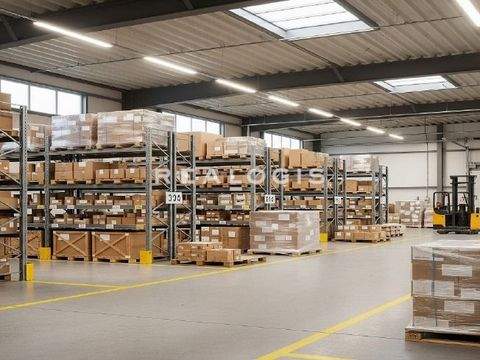 Villingen-Schwenningen Halle, Villingen-Schwenningen Hallenfläche